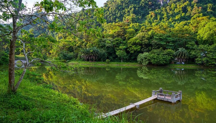 Private Day Tour: Cuc Phuong National Park from Hanoi - Lunch near the park
