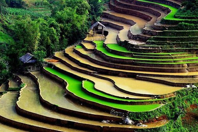 Private Full-Day Tour to Halong Bay from Hanoi - Vietnamese lunch on a private cruise