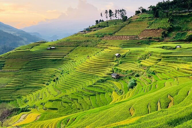 Private Half-Day Tour of Villages, Terrace Rice Fields by Car - Cat Cat Village and its steep stairway