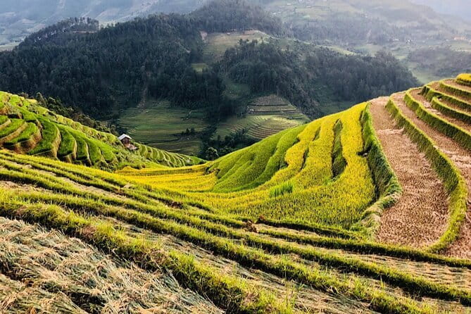 Private Half-Day Tour of Villages, Terrace Rice Fields by Car - Lao Chai and the broad rice-field views