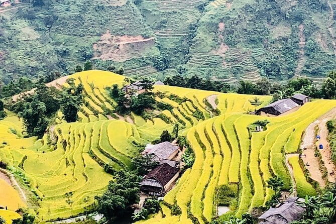 Private Half-Day Tour of Villages, Terrace Rice Fields by Car - Y Linh Ho for a quieter change of pace