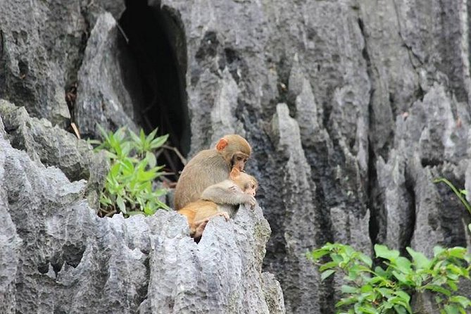 Private Halong Bay In Day - Why a private Halong Bay day trip makes sense