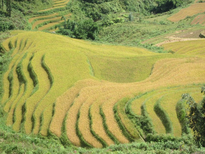 Private Hoang Lien National Park & Tribal Village Trek - Picnic Lunch in the Wilderness at 12:30 PM