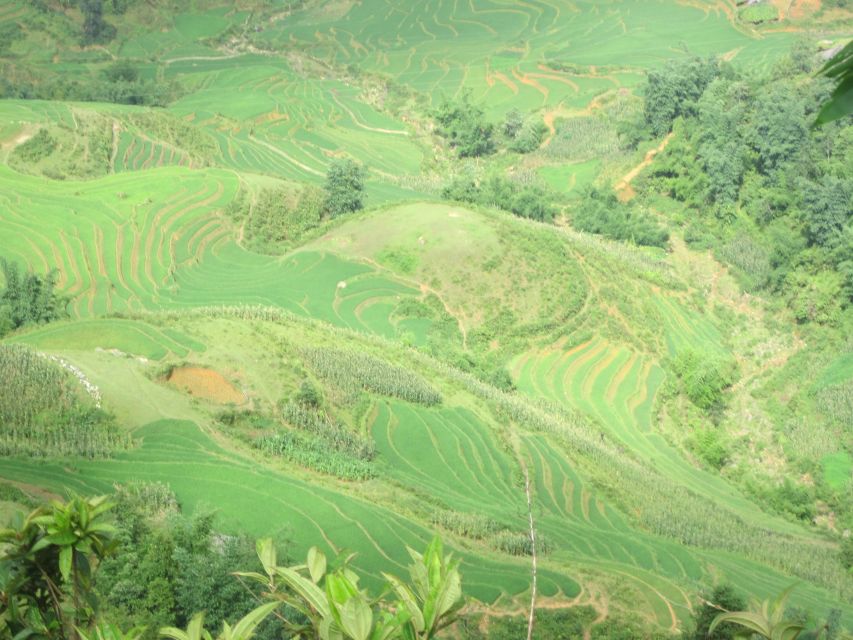 Private Hoang Lien National Park & Tribal Village Trek - Is $75 Good Value?