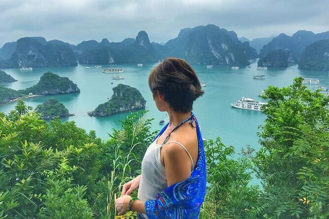 Private tour in Ninh Binh from Hanoi - What $148.27 per person gets you