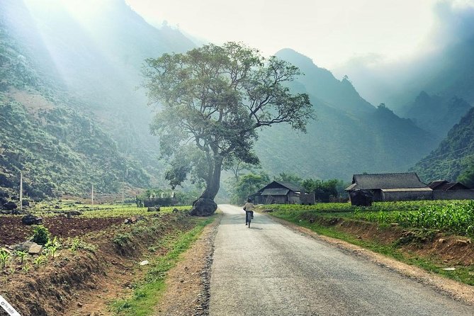 Private Transfer Between Lao Cai Train Station and Sapa Town - The 40 to 50 minute road trip to Sapa