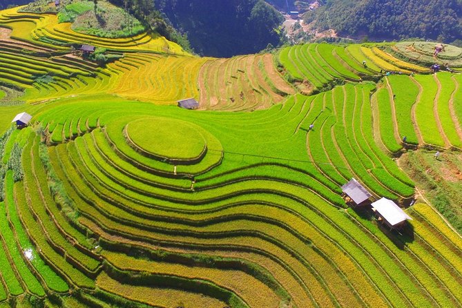 Private transfer Hanoi <=> Mu Cang Chai One Way (Hotel pickup) - What the 310-kilometer road trip is like
