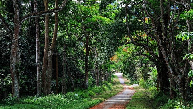 Private Transfers Full Day Hanoi - Ba Vi National Park - Hanoi - The 1.5-hour ride to Ba Vi