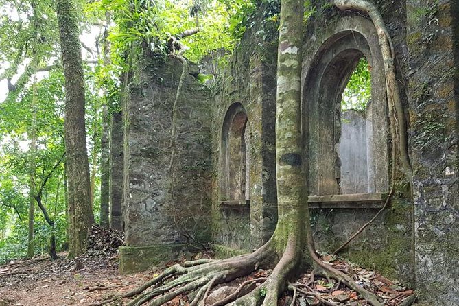 Private Transfers Full Day Hanoi - Ba Vi National Park - Hanoi - Returning to Hanoi in the late afternoon