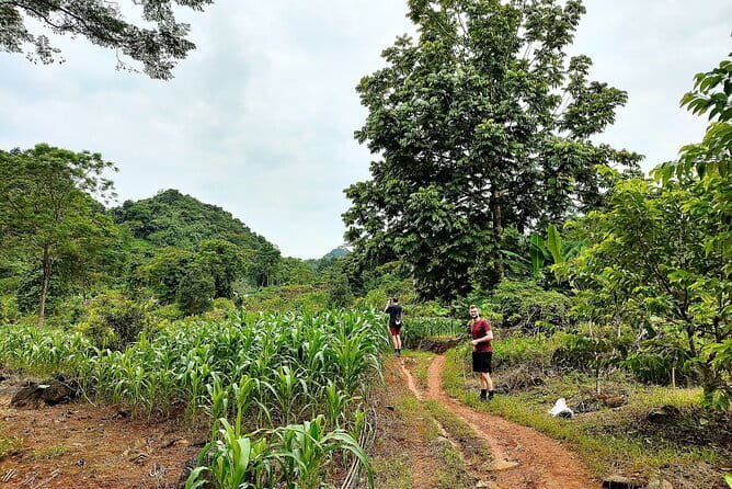 Private Transfers Ha Giang <=> Sapa One Way (Free Hotel Pickup) - Stops, meals, and what is not included