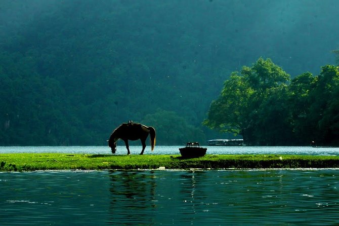 Private transfers HALONG <=> SAPA One Way (Free Hotel Pickup) - Starting from Halong Bay