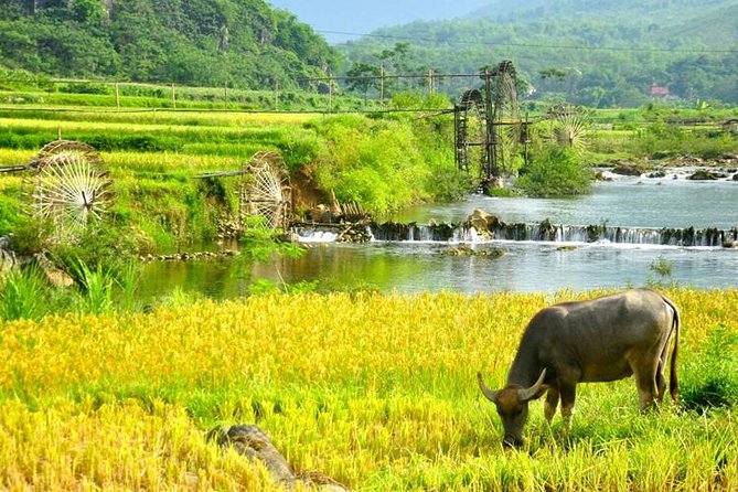 Private transfers Hanoi <=> Puluong 1 Way (Free Hotel Pickup) - Why a private car makes sense for Pu Luong