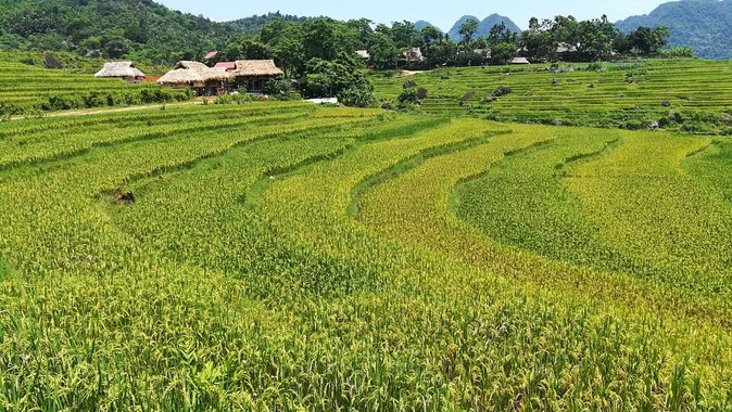 Private transfers Hanoi <=> Puluong 1 Way (Free Hotel Pickup) - Comfort, privacy, and the limits of the vehicle