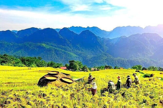 Pu Luong 2 Days Trekking & Village Experience with local Family - Rice terraces, mountain paths, and village life