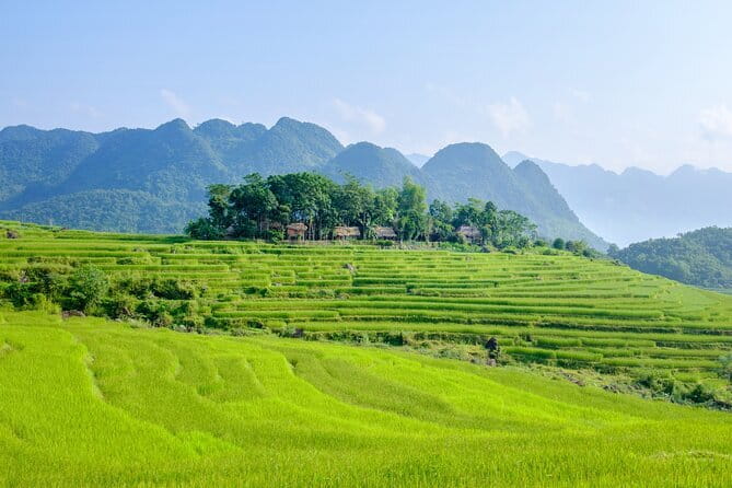 Pu Luong 3-Day Adventure: Trekking, Cycling & Local Cooking Class - Who should book this Pu Luong trip