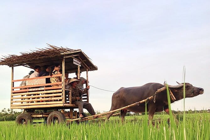 Pu Luong 3-Day Adventure: Trekking, Cycling & Local Cooking Class - Day 2: Silk, rice paddies, and a family cooking class