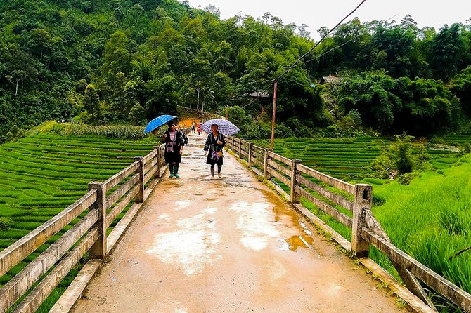 Rice Terraced Fields & Homestay Experience– 2D 1N - Ta Van Village and the Giay homestay