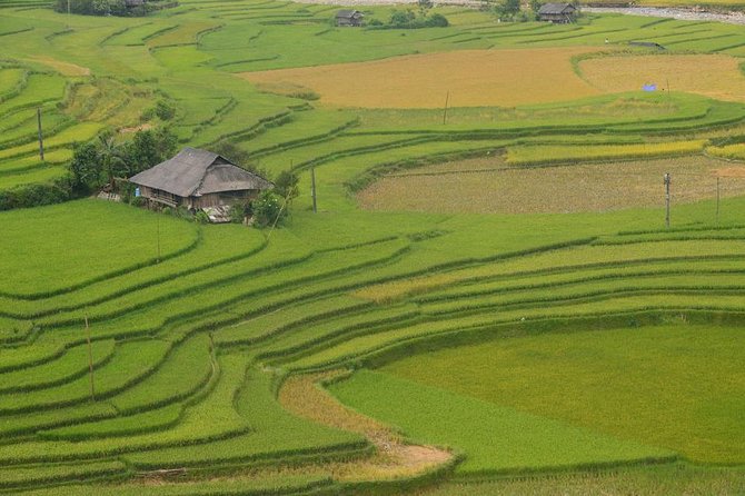 Sa Pa 2-Day Moderate Trek and Homestay Limousine Tour from Hanoi - The selling stops and how to handle them