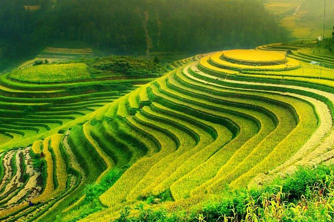 Sa Pa 2-Day Moderate Trek and Homestay Limousine Tour from Hanoi - Sa Pa town and the route toward Ta Van