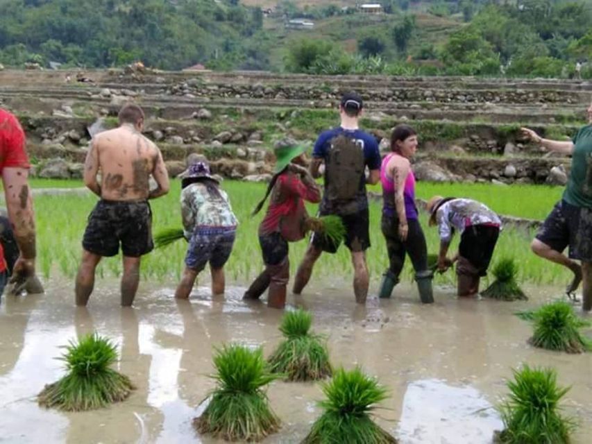 Sa Pa: 2-Day Trekking Trip with Ethnic Minority Homestay - Who should book this Sa Pa trek?