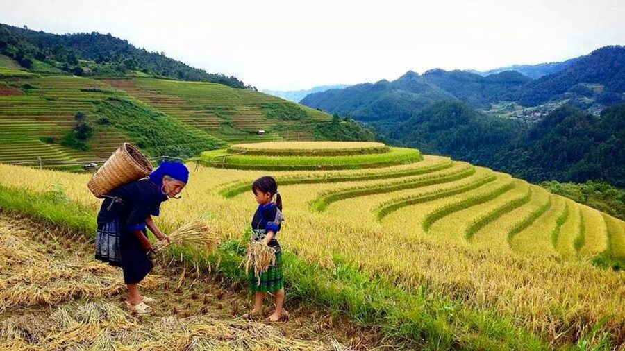 Sa Pa: 6-Hours Muong Hoa Valley Trek with Local Ethnic guide - Key points to know before you go