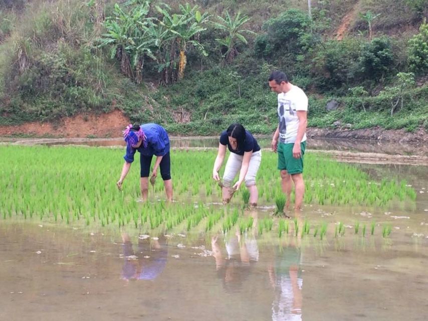 Sa Pa: 6-Hours Muong Hoa Valley Trek with Local Ethnic guide - The first walk to Y Linh Ho village