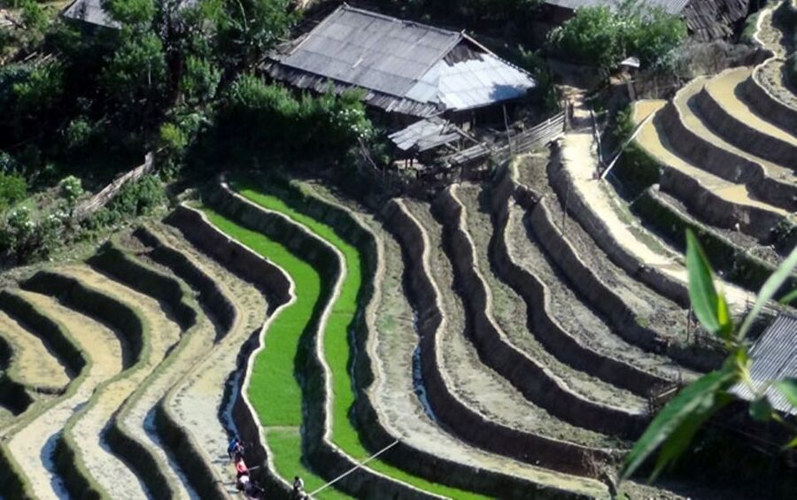 Sa Pa: 6-Hours Muong Hoa Valley Trek with Local Ethnic guide - Forest paths, bamboo, and the hard parts