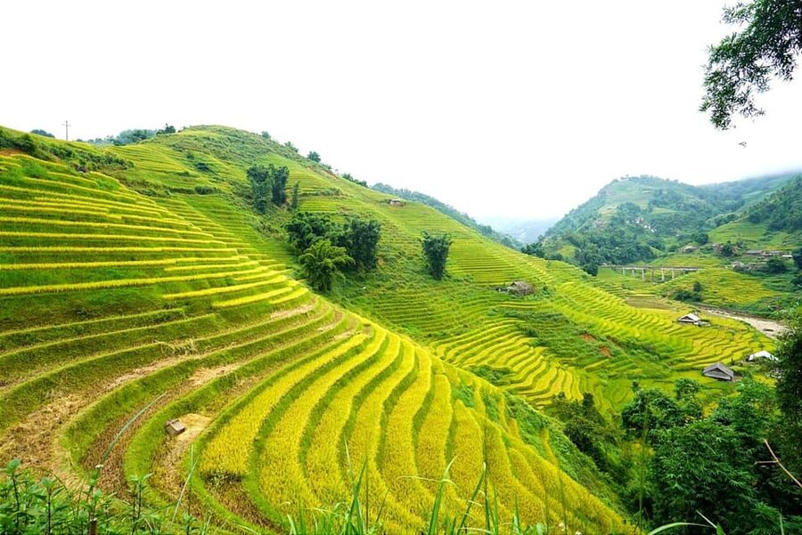 Sa Pa: Half-Day Cat Cat Village Hike to Meet H'mong People - Who should book this Sa Pa experience?
