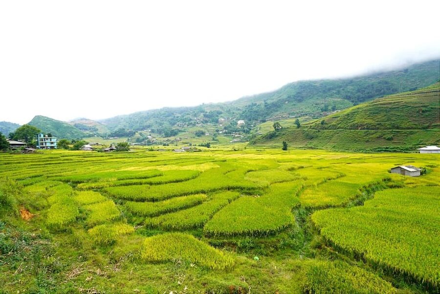 Sa Pa: Half-Day Cat Cat Village Hike to Meet H'mong People - Transport, pickup, and group size