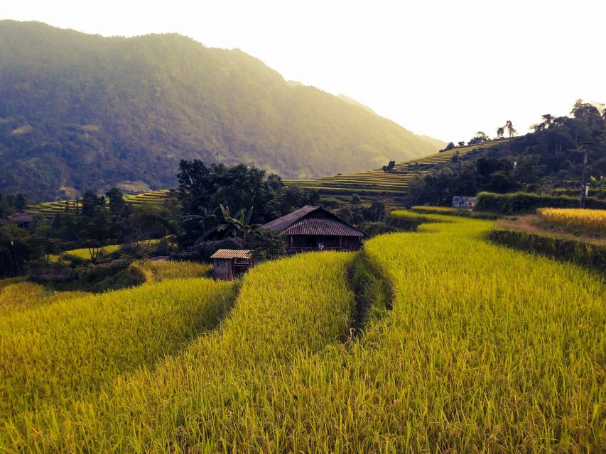 Sa Pa: Muong Hoa Valley Trek and Local Ethnic Villages - Bamboo forest, Giang Ta Chai, and the waterfall rest