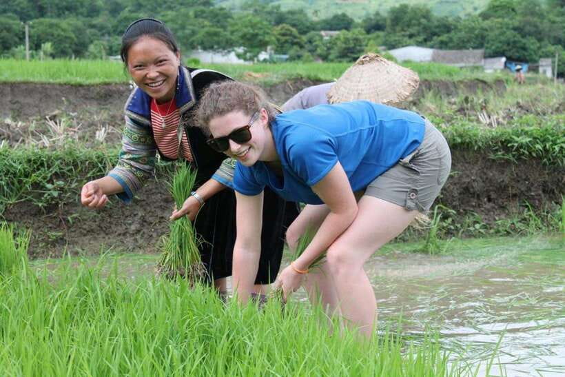 Sa Pa: Muong Hoa Valley Trek and Local Ethnic Villages - Morning mist and the first Muong Hoa trails