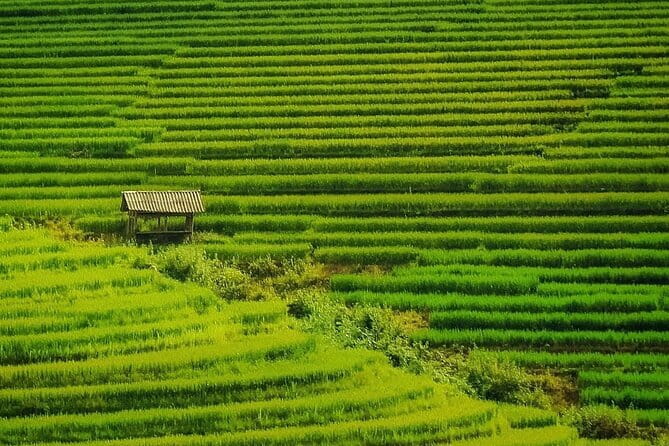 Sa Pa Trekking 2 Days 3 Nights Homestay by Night Train - Sapa town gives you a quick reset