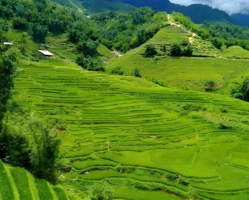 Sapa 1 Day Long Trek: Trek to Hau Thao and Sa Seng Villages - Hau Thao and the farming life of the valley