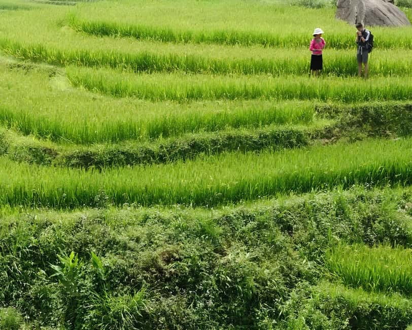 Sapa 1 Day Long Trek: Trek to Hau Thao and Sa Seng Villages - How hard is this Sapa trek?