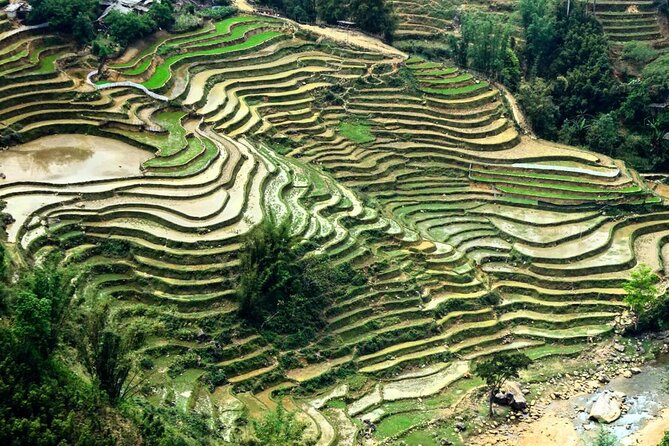 Sapa 1 Day Trekking - What the guide adds to the walk