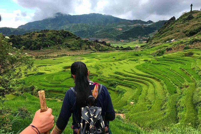 Sapa 1 Day Trekking - Who should book this Sapa day trek?