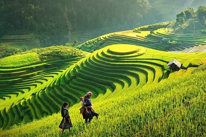 Sapa 1 Day Trekking Tours - Y Linh Ho, Lao Chai, and Ta Van
