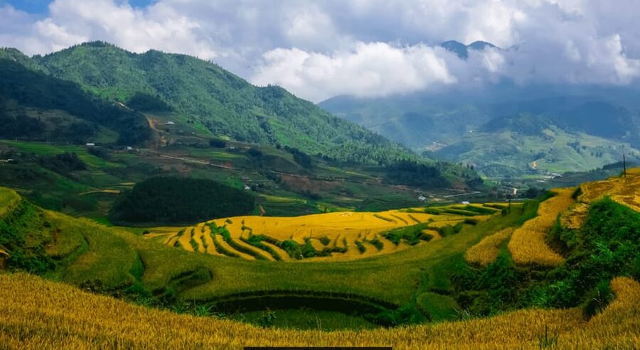 SaPa: 2-Day Villages,Rice Fields, Love Waterfall Hiking Tour - Day two: rice paddies, Phin Ho, and Ban Khoang