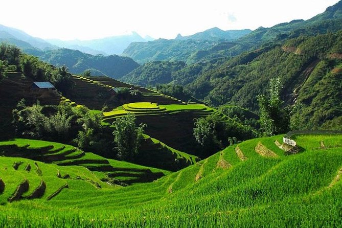 Sapa 2 Days 1 Night Bac Ha Market Tour (Overnight In Hotel) - Food, guides, and group size