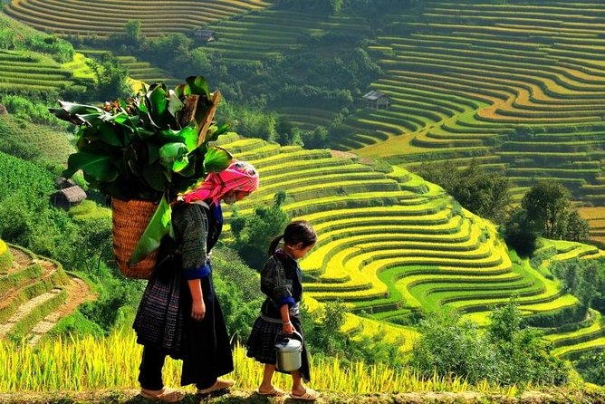 Sapa 2 Days 1 Night From Hanoi - Overnight in Hotel - Who will enjoy this two-day Sapa plan