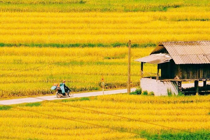 Sapa 2 Days 1 Night Overnight at Homestay Ta Van Village - Returning to Sapa Town and Hanoi