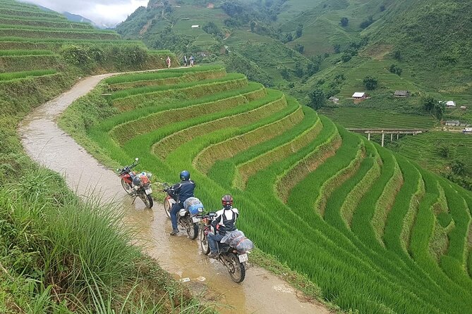 Sapa 2 Days 1 Night with Host Family (Free Motorbike) - Lunch in Sapa and the long ride back to Hanoi