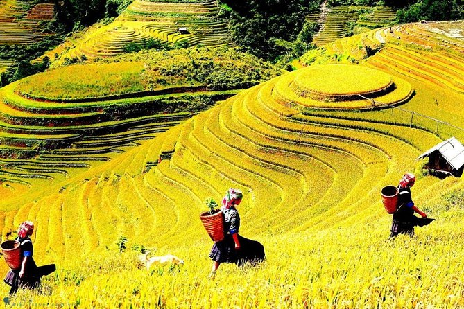 Sapa 2 Days Trek with 1 Night Homestay - The essentials at a glance