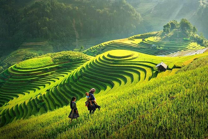 Sapa 2 Days Trek with 1 Night Homestay - Day one: Y Linh Ho and the move to village life