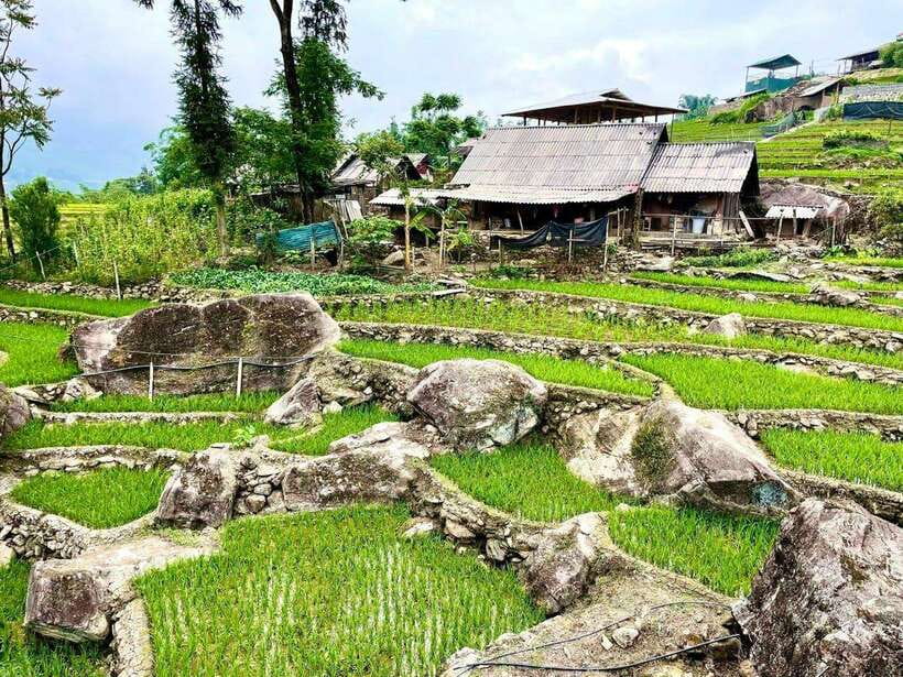 SAPA: 2 DAYS Walking & 1 night at Homestay with LOCAL GUIDE - Who should book this trip