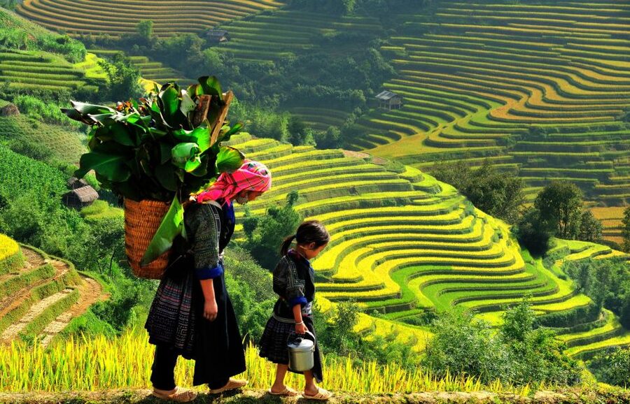 Sapa: 3-Day, 3-Night Trek and Hotel with Overnight Train - Day 1: Sin Chai and the quieter edge of Sapa