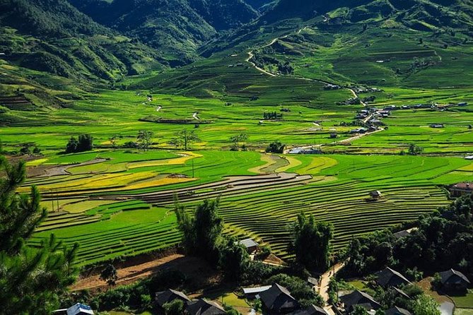 Sapa 3 Days 2 Nights Trekking Tour (1 Night In Ta Van Village, 1 Night In Hotel) - Guides make a real difference