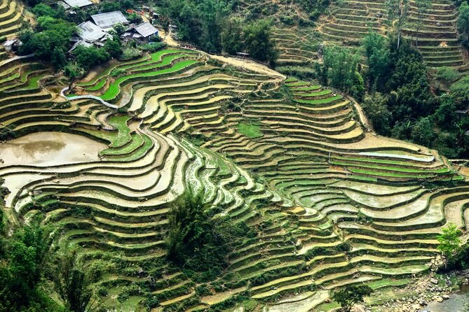 Sapa 3 Days Trek with 2 Nights Homestay - The guides are a major part of the experience