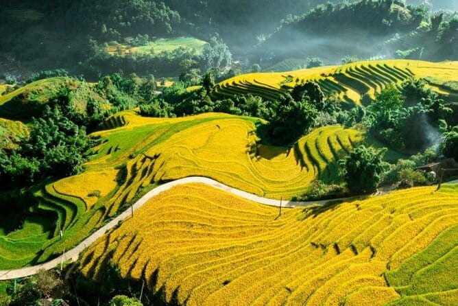 Sapa Adventure Motorbike Tour With Local Guide - Who should book this Sapa motorbike tour?