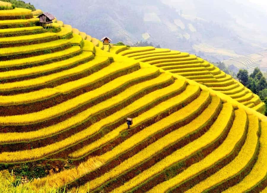 Sapa: Cat Cat Village, Moana, Alpine Coaster, Fansipan Cable - Fansipan adds Vietnam’s highest summit